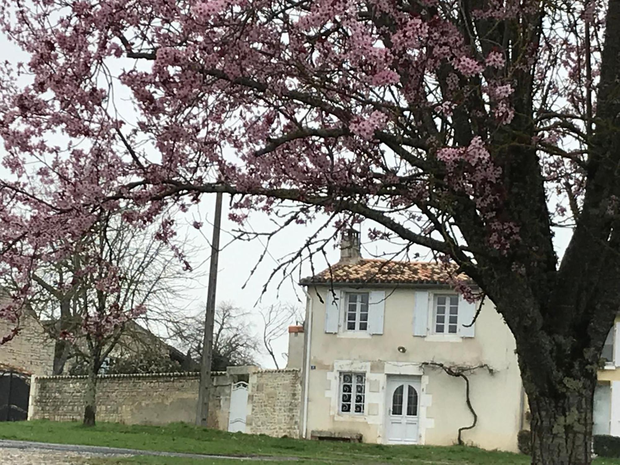 Montignac-Charente La Maison De Josephine מראה חיצוני תמונה
